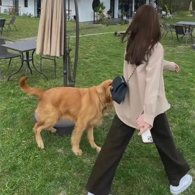 孤儿泪
